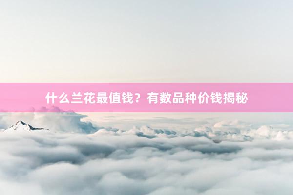 什么兰花最值钱？有数品种价钱揭秘