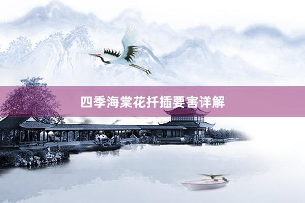 四季海棠花扦插要害详解