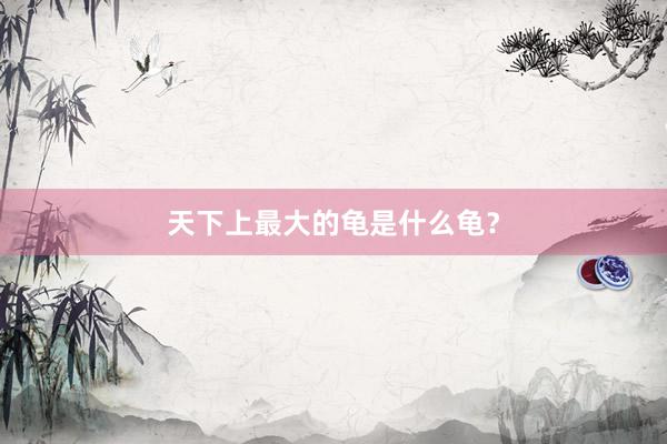 天下上最大的龟是什么龟？